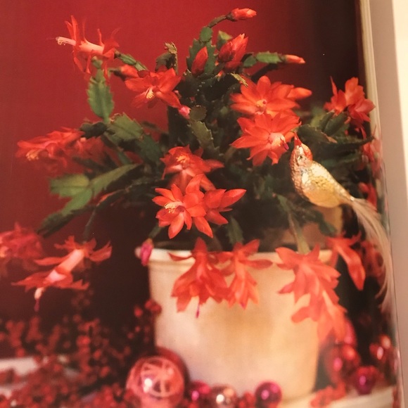 Christmas with Martha Stewart Living Classic Crafts and Recipes book - Picture 4 of 14